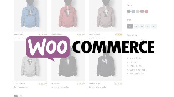WooCommerce Web Designer image